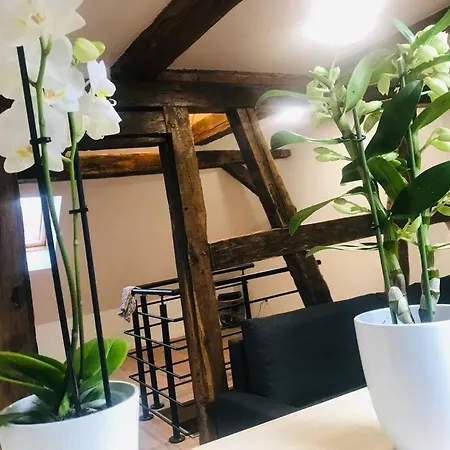 Prázdninový dům Les Lavandieres *