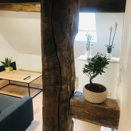 Les Lavandieres Prázdninový dům Scherwiller