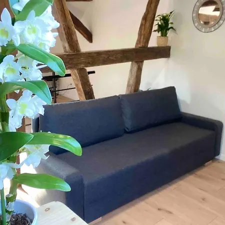 Prázdninový dům Les Lavandieres *